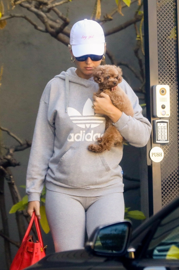Katy Perry 抱着宠物狗离开办公室 - 2019年8月5日街拍